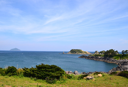 魚津ヶ崎公園